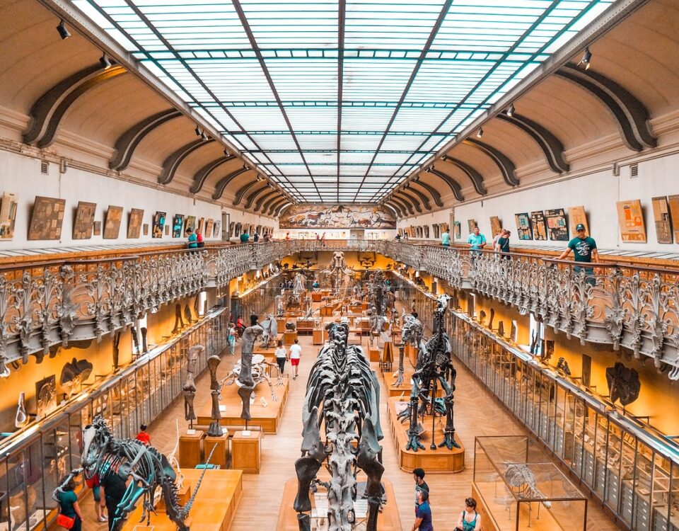 Tecnologia a serviço da Arqueologia Moderna