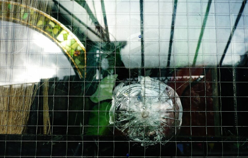 Softwares de balística: como a tecnologia apoia investigações de crimes the reflection of a vase in a window