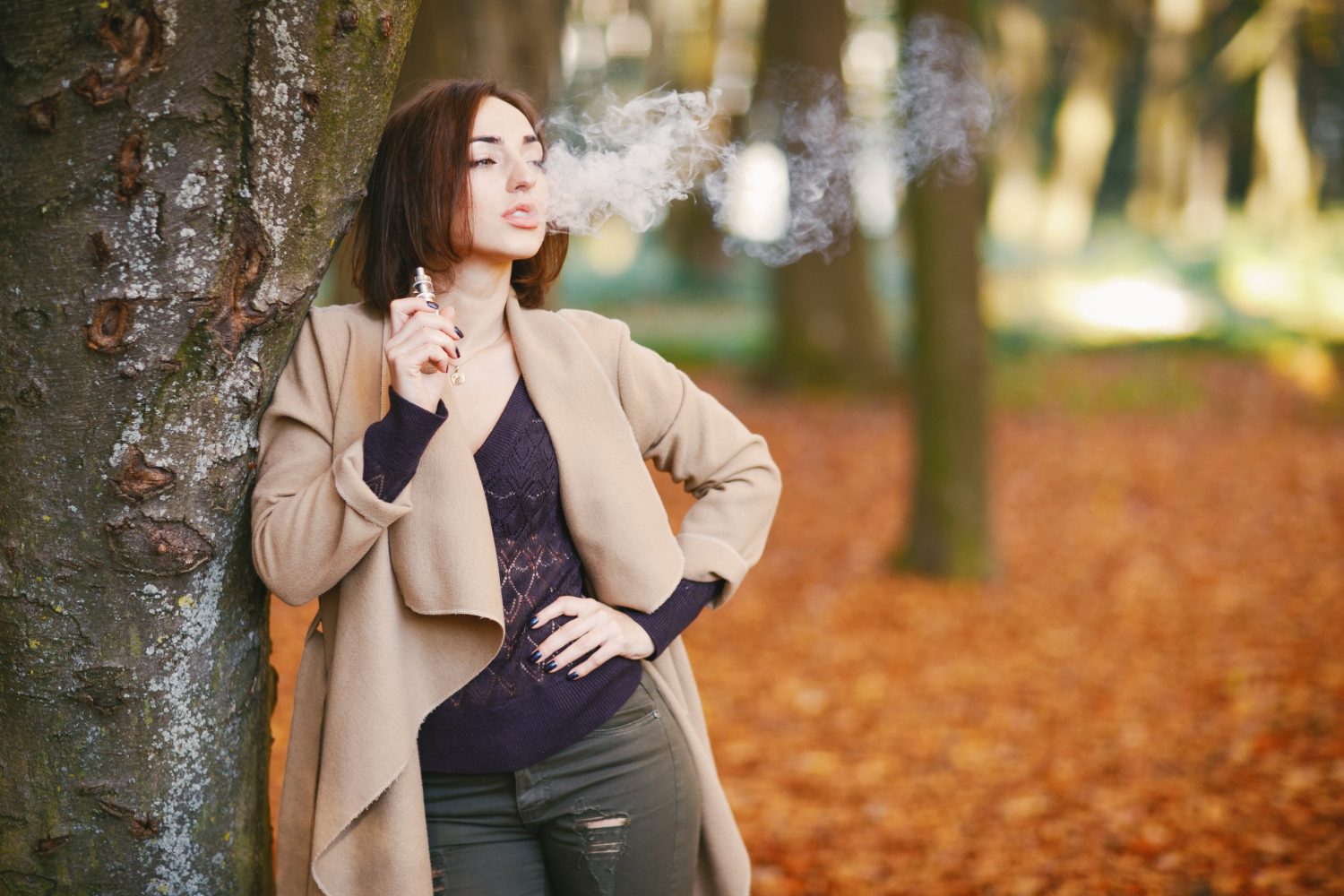 Como escolher o vaporizador de ervas ideal: dicas essenciais Como escolher o vaporizador de ervas ideal: dicas essenciais
