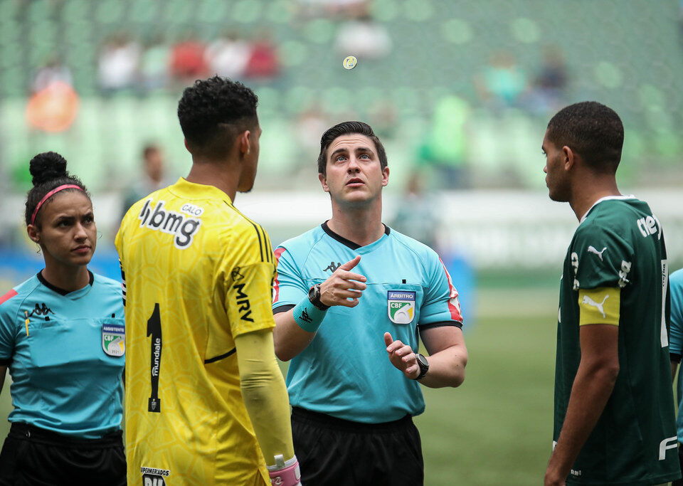 Principais curiosidades sobre o Palmeiras Principais curiosidades sobre o Palmeiras