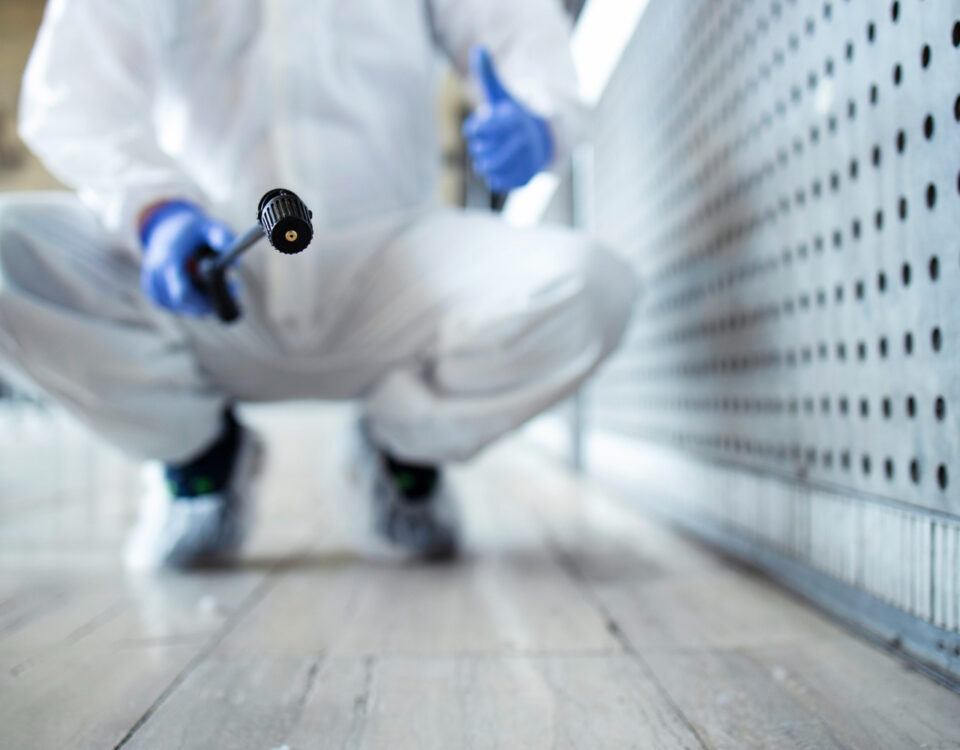 Tecnologia que detecta focos de baratinhas Tecnologia que detecta focos de baratinhas